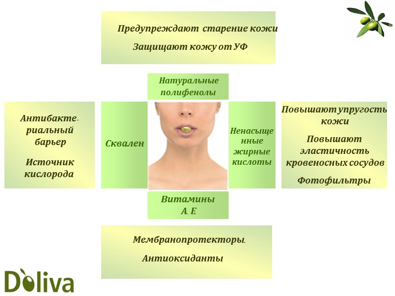 Повышают упругость  кожи  Повышают  эластичность  кровеносных сосудов  Фотофильтры Ненасыщенные